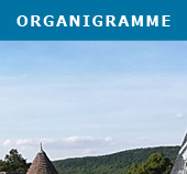 Organigramme