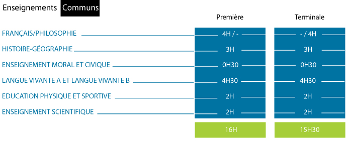 Bac TroncCommun gene