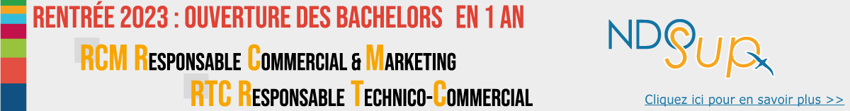 bandeauAnnonceBachelors