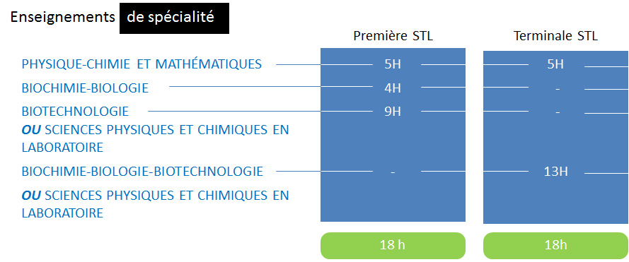 Bac Spe STL